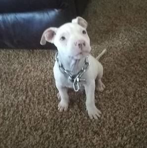 Meet your Posher, Brett